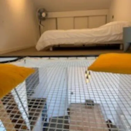 Apartmán 